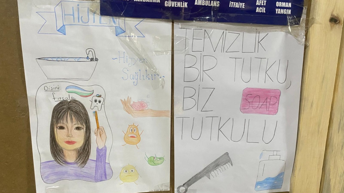 Yaşam Becerileri Şubat Ayı Hijyen Posterleri Hazırlama Etkinlikleri 